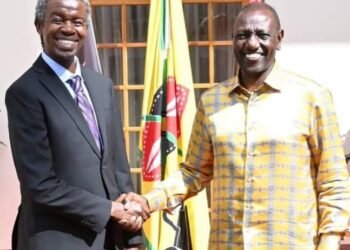 Kenya: Ruto appoints Africa Climate Summit CEO