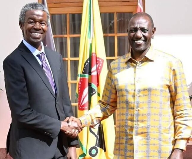 Kenya: Ruto appoints Africa Climate Summit CEO