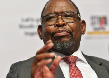 SA: Minister Godongwana launches Spatial Economic Activity Data Programme to address inequalities