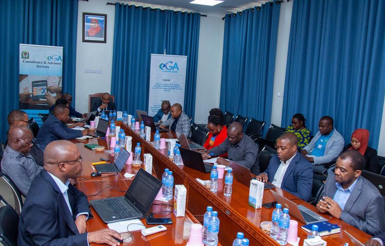 Tanzania: Government to harmonize its ICT systems to cut duplication