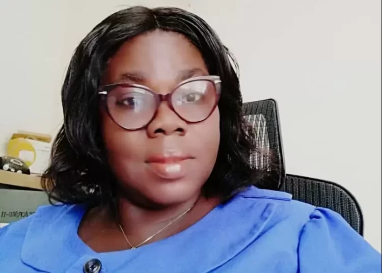 Ghana: We are set for Assin North by-election – Electoral Commission