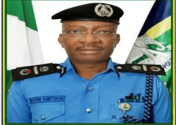 Nigeria: DIG Kayode Egbetokun Assumes Role of Acting Inspector-General of Police