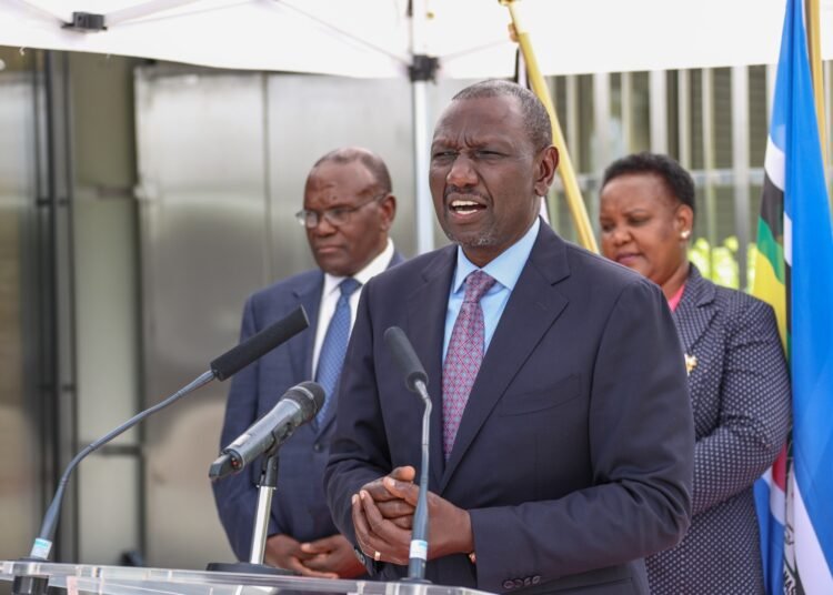 Kenya: Job creation is key to govt – President Ruto