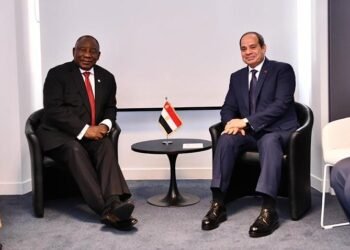 President El-Sisi Meets President of South Africa in Paris