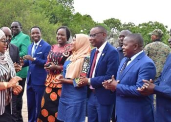 Tanzania: President Samia Suluhu Hassan warns against theft of building materials in strategic projects