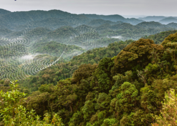 Rwanda, Team Europe and partners pioneer an additional EUR 300 million to build climate resilience