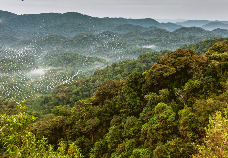 Rwanda, Team Europe and partners pioneer an additional EUR 300 million to build climate resilience