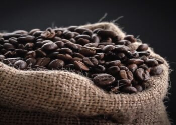 Tanzania makes record sh440.5 billion coffee beans sale in 2022/23 season.