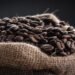 Tanzania makes record sh440.5 billion coffee beans sale in 2022/23 season.