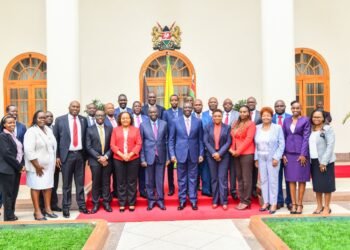 Kenya: Ruto Calls on Health Council to solve workers’ issues