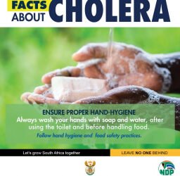 Cholera death toll in SA increase to 43