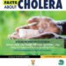 Cholera death toll in SA increase to 43