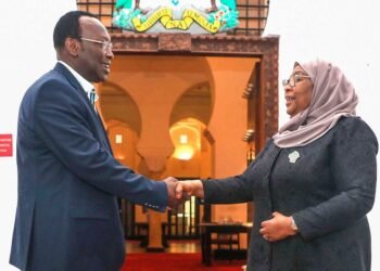 Tanzania parties set August date for building consensus on reforms