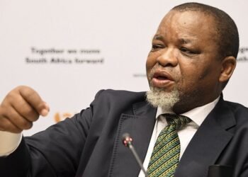 South Africa: Minister Gwede Mantashe announces adjustment of fuel prices