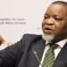 South Africa: Minister Gwede Mantashe announces adjustment of fuel prices