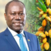Ghana COCOBOD undertakes cocoa bills debt exchange