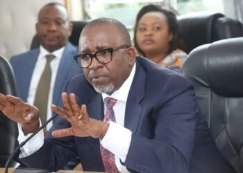 Kenya climbs ladder in the global avocado production rankings 