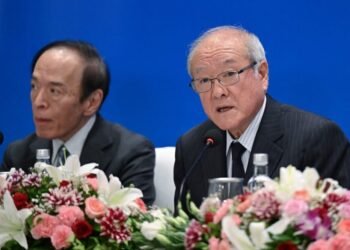 G20 energy ministers fail to agree on fossil fuels roadmap