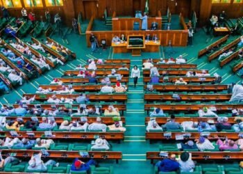 Nigerian House of Reps to Investigate Annual Loss of N8 Trillion by Public Officials
