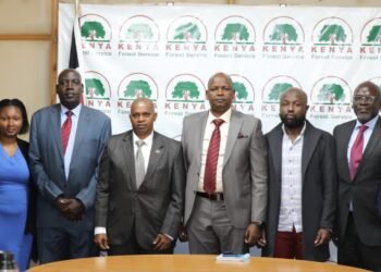 Kenya: Chief Conservator of Forests, Kenya Association of Manufacturers collaborate to boost forest conservation