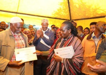 Kenya: Govt recruiting 4,000 tree nursery attendants for ‘Green Army’ Initiative