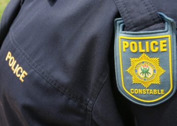 SA: Independent Police Investigative Directorate on sentencing of former police constable
