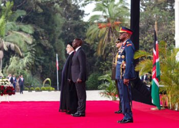 Kenya will exploit the strong ties it enjoys with Iran to expand trade – President Ruto says