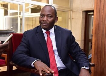 Uganda: Public Accounts Committee concerned about management of public land