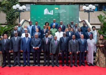 President for AfDB outlines future vision for sustainable growth and climate resilience in key African Union speech