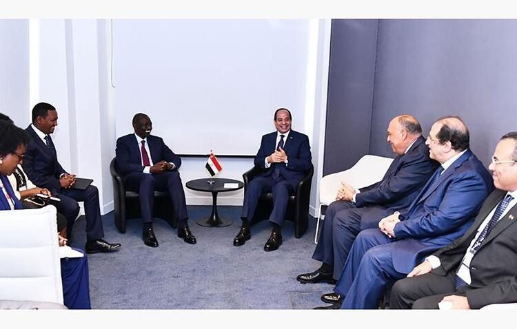 President El-Sisi meets the President of Kenya