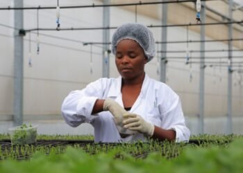 Rwanda Introduces New Biosafety Bill to Regulate GMOs
