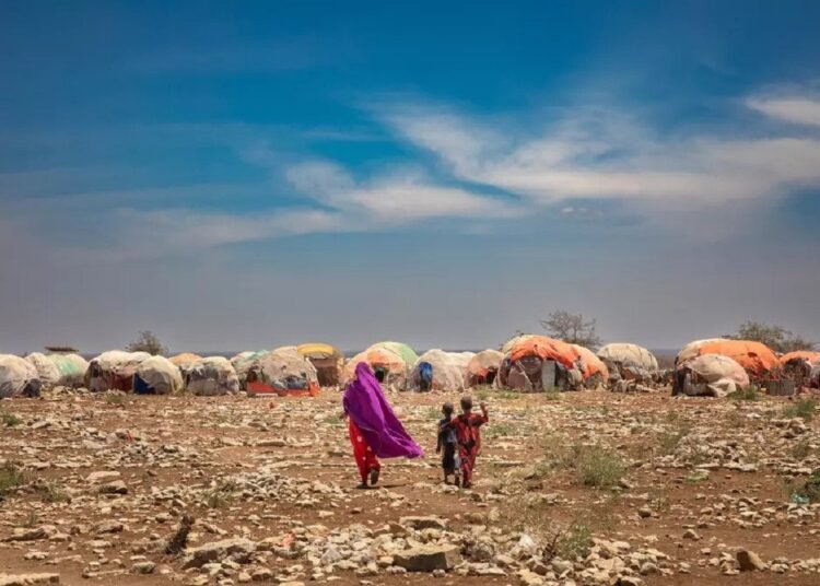 Somalia Joins GGWI in Fight Against Climate Change and Desertification.