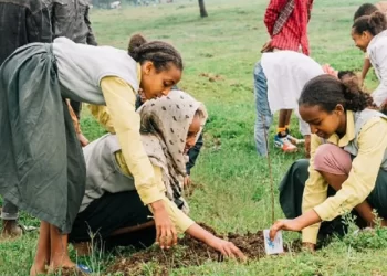 Ethiopia Plants 566m Trees Seedlings in 12-hour