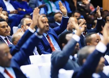 Ethiopia: City Council Approves 140.2bln Birr Budget