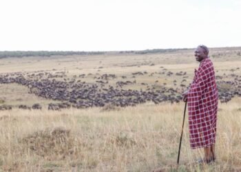 Kenya: Investment in cultural tourism will expand economic opportunities – President Ruto