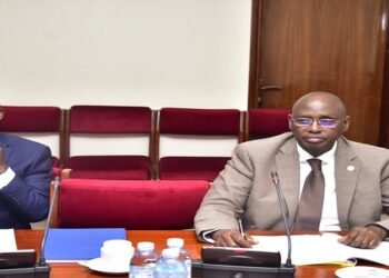 Uganda: MPs propose mandatory policy on tree planting