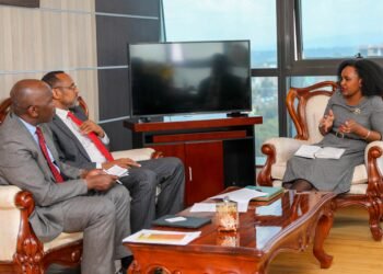 Kenya: PS Njogu, Capital Markets Authority discusses collaboration for diaspora investment awareness