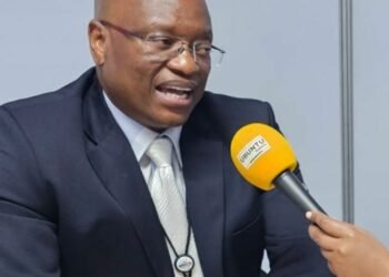 SA: BMA to safeguard SA’s borders