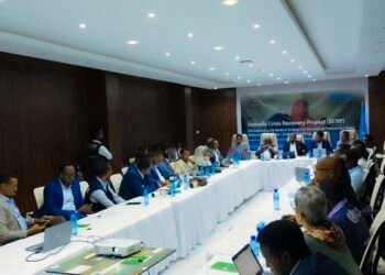 Somalia launches US$11.4 million project to strengthen emergency care services at regional hospitals