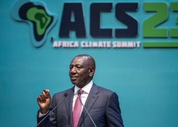 Africa to champion climate action for sustainable growth – President William Ruto
