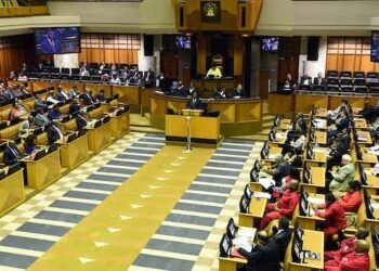 South Africa: Parliament Appoints its New Chief of Security