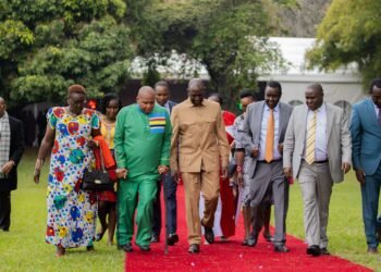 Kenya: ‘No permit will be issued to millers to import wheat or maize’- President Ruto says