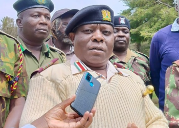 Kenya: Over 120,000 candidates sit national exams in Bungoma