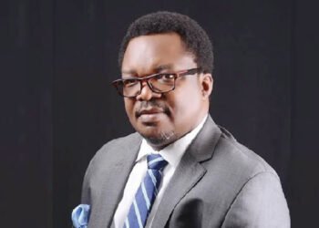 Nigeria: NDPHC assures reliable and cost-effective power supply