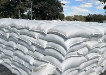 Botswana govt launches strategic grain reserve contribution initiative