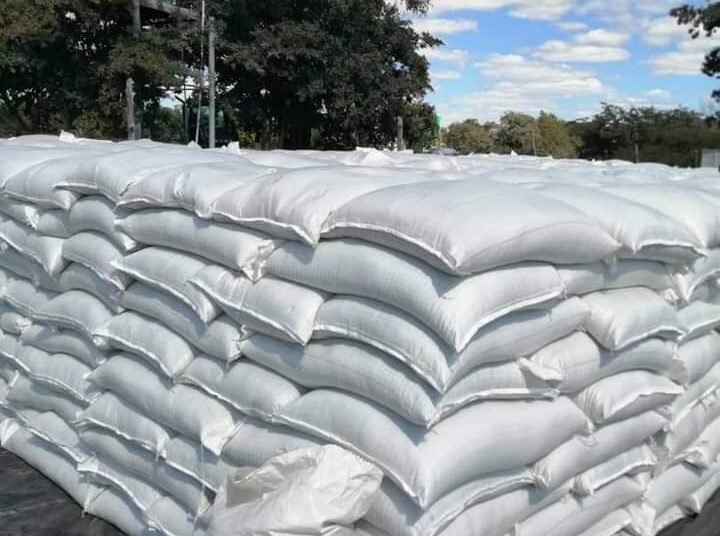 Botswana govt launches strategic grain reserve contribution initiative