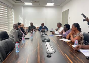 Ghana: GEPA strengthens economic ties with Dubai Chamber of Commerce