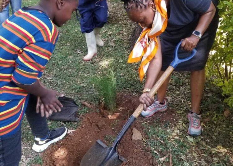 Kenya Embassy Addis Ababa joins nationwide tree planting campaign