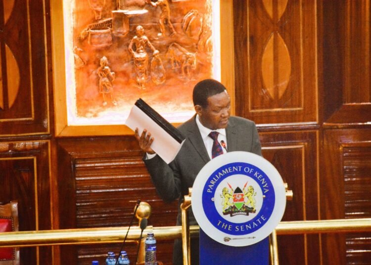 Kenya: Govt takes action to address human-wildlife issues