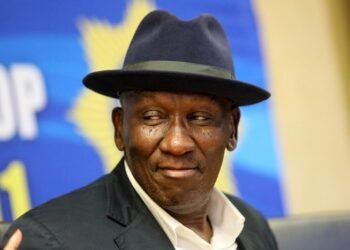 SA: Policing strategies lead to reduced crime: Cele